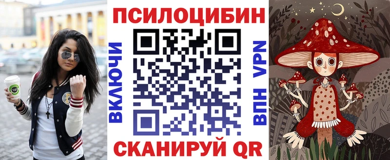 Псилоцибиновые грибы Psilocybe  kraken маркетплейс  Конаково 