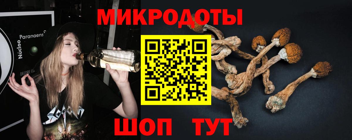 Конаково  Псилоцибиновые грибы мухоморы  Вход с VPN  Галлюциногенные грибы Psilocybine cubensis 
