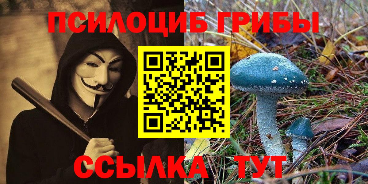 Псилоцибиновые грибы Cubensis Конаково